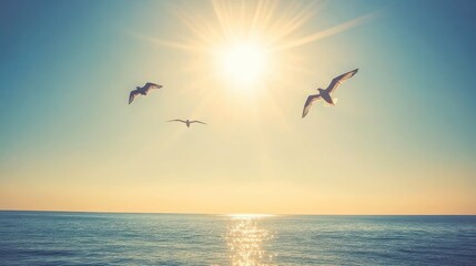 Fototapeta premium Soaring Birds in Bright Sunlight Over Ocean Waters