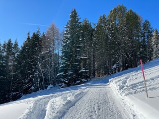 Excellently arranged and cleaned winter trails for walking, hiking, sports and recreation in the...