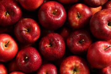 Fresh ripe red apples as background, top view