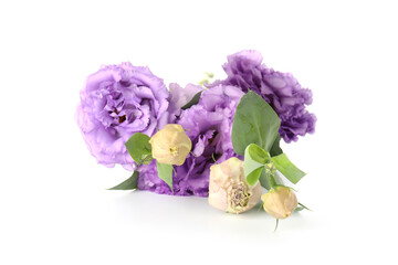 Beautiful violet eustoma flowers with green leaves isolated on white