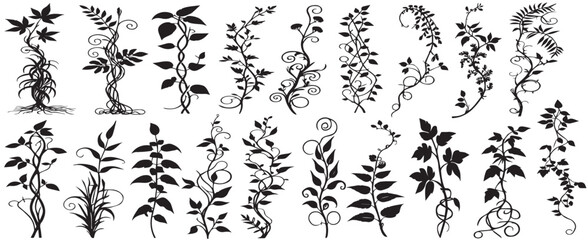 Set with silhouettes of detailed plants isolated on white background. Vector