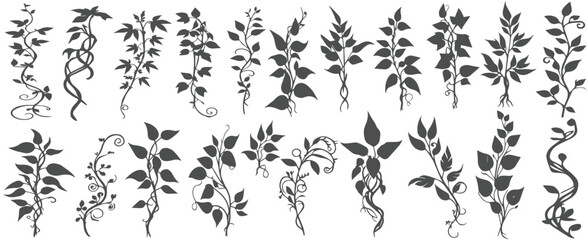 silhouettes of detailed plants isolated on white background