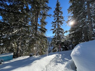 Excellently arranged and cleaned winter trails for walking, hiking, sports and recreation in the...