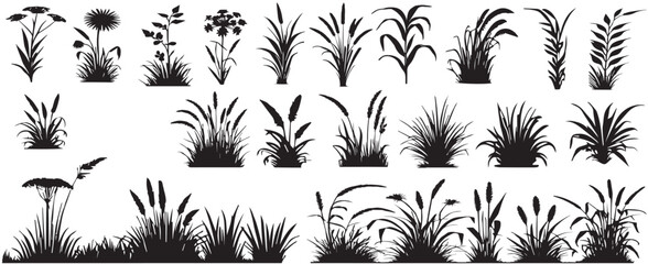 silhouette different types of plants including grass flowers and plants vector