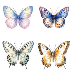 Obraz premium Colorful butterfly collection nature digital art vibrant garden aerial view wildlife conservation