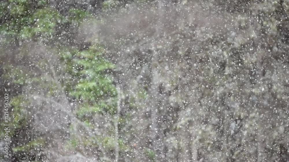 Poster delicate snowflakes float gracefully through the air, creating a mesmerizing slow-motion winter spec