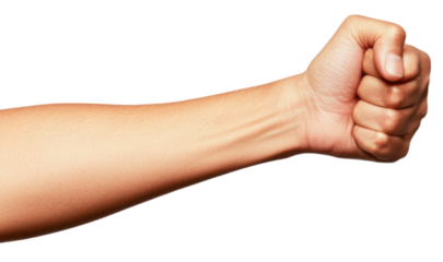 PNG A clenched fist is prominently displayed, showcasing strength and determination through its muscular structure.
