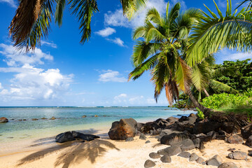 A secluded Kauai beach with golden sands and volcanic rocks, swaying palm trees, and the endless expanse of a turquoise ocean beneath a vibrant blue sky