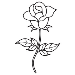 Rose flower line art vector illustration on a white background