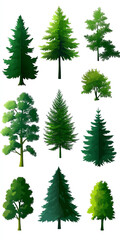 Fototapeta premium Various green trees isolated on a white background, showcasing different types and shapes.