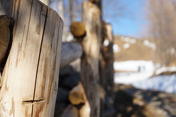 fence in the woods