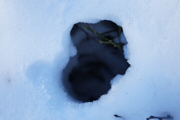 hole in the wall