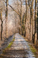 Fototapeta premium Pedestrian walkway in a rural scenery in Vaduz in Liechtenstein