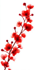 Obraz premium Delicate red blossoms on a branch with a soft white background, perfect for seasonal designs and floral themes.