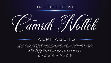 Classic typography serif font. Uppercase, lowercase, ligatures, ampersand, alternate, and number. Vector illustration word. Lettering Minimal Fashion Designs Romance Elegant.