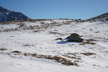 stone in the snow