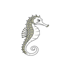 Threatened female lined seahorse hippocampus erectus vector illustration