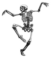 skeleton in dynamic dancing pose isolated hand drawn sketch card design element line art detailed vector illustration