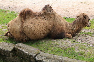 Impressionen aus eienm Tierpark