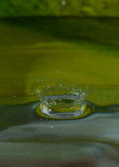tropfen schl&auml;gt auf wasser auf