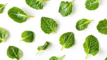 Fresh green mizuna leaves pattern on white background