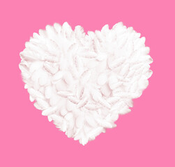 White feathers in the shape of a heart.