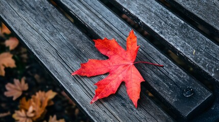 Obraz premium A close-up of a vibrant red maple leaf on a wooden