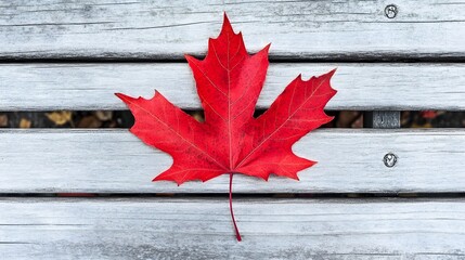 Obraz premium A close-up of a vibrant red maple leaf on a wooden