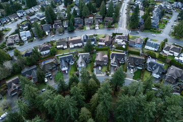 Aerial View of Quiet Suburban Neighborhood with Houses and Lush Green Trees