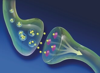 conceptual illustration depicting normal dopamine production and transmission between synapses in the brain