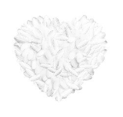 White feathers in the shape of a heart on a transparent background.