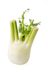 Gennevilliers, France - 01 02 2024: Still life. Close up of a fennel on a white background.