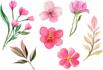 pink and white flowers