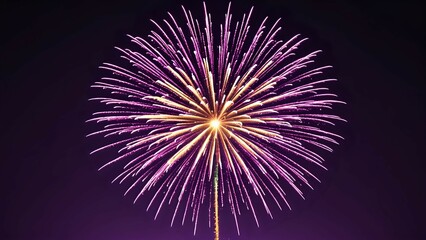 Stunning purple and gold fireworks display exploding against a dark night sky. Perfect for celebratory backgrounds and festive designs.