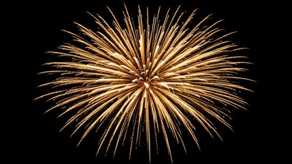 Fototapeta premium Stunning golden firework burst against a black night sky; perfect for celebratory backgrounds, event promotions, or festive designs.
