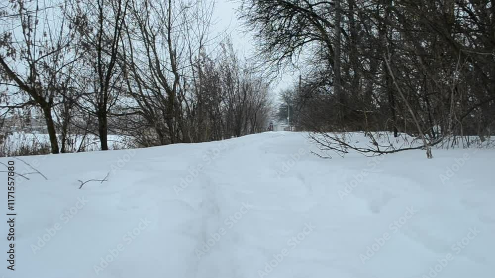 Poster snowy path with trees in the background. the snow is deep and the trees are bare