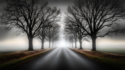 Obraz premium Dense Fog Covering a Quiet Rural Road Lined with Leafless Trees Creating a Mysterious Atmosphere in a Serene Landscape