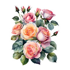 Naklejka premium Watercolor bouquet roses flowers, symbol of love, wedding, purity, vector illustration