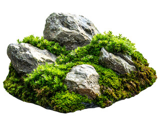 moss-covered rocks stones isolated on transparent or white background, png cutout