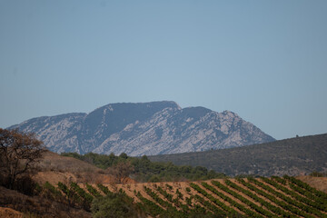 landscape in the mountains