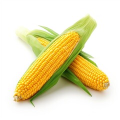 Fresh delicious corn with green leaves on white background