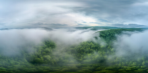 Aerial view of a misty forest in summer