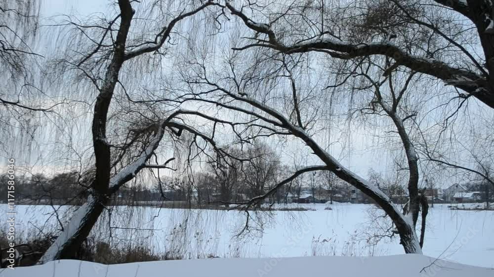 Poster snowy landscape with a tree in the foreground and a tree in the background. the trees are bare and t