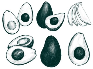 Avocado Sketches: Hand-Drawn with Procreate Pencil Tool
