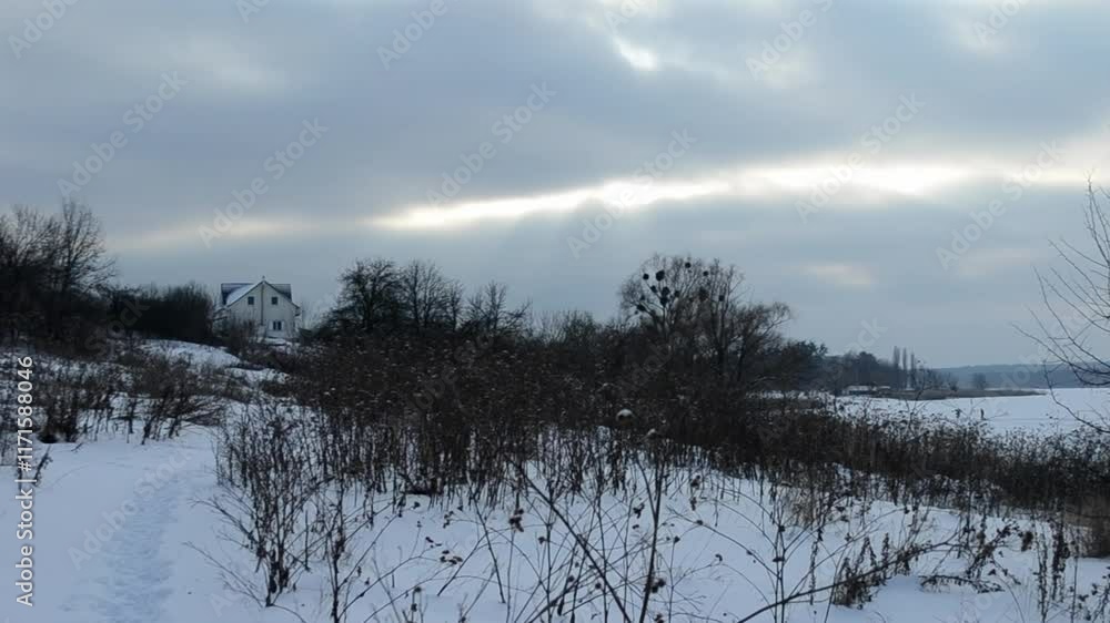 Poster snowy field with a few trees and bushes. the sky is cloudy and the sun is not visible