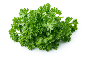 Bunch of parsley is on a white background