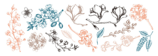 Spring blooming branches sketches. Hand-drawn botanical illustration. Trendy brown floral design. NOT AI genereted © sketched-graphics