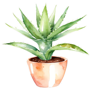 watercolor aloe vera plant in terracotta pot clip art preview