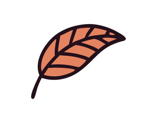 stylized orange leaf vector illustration for autumn themes