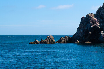 Fototapeta premium cliff and rocks at the seaside